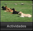 Actividades