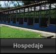 Hospedaje